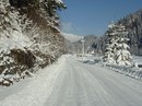 Світлана Шімон фотография #15 (источник - https://vk.com/id119452070)