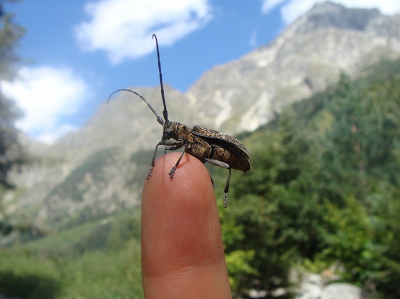 Катя Гродецка фотография #14