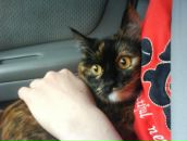 Михаил Ветров фотография #4 (источник - https://vk.com/id705221)