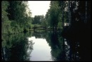 Славік Рибак фотография #3 (источник - https://vk.com/id134210115)