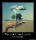 Фотография Кренёва Игоря