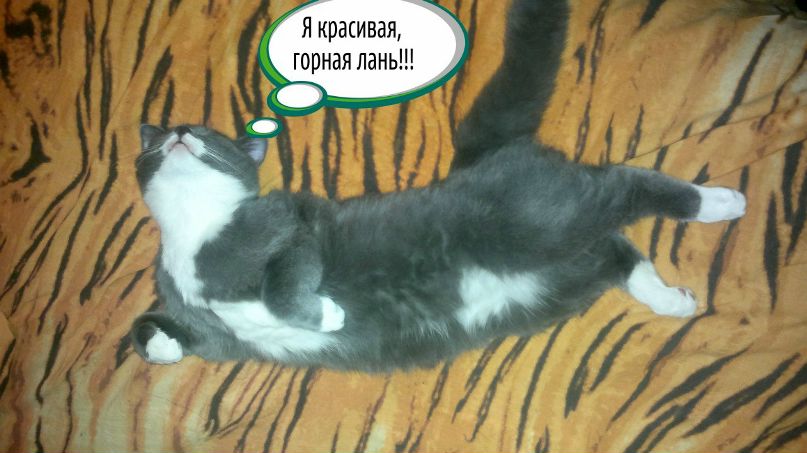Il Travin фотография #17