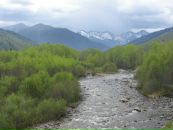 Фотография Мовчан Любови