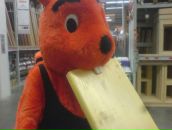 Фотография Колюкина Лёля