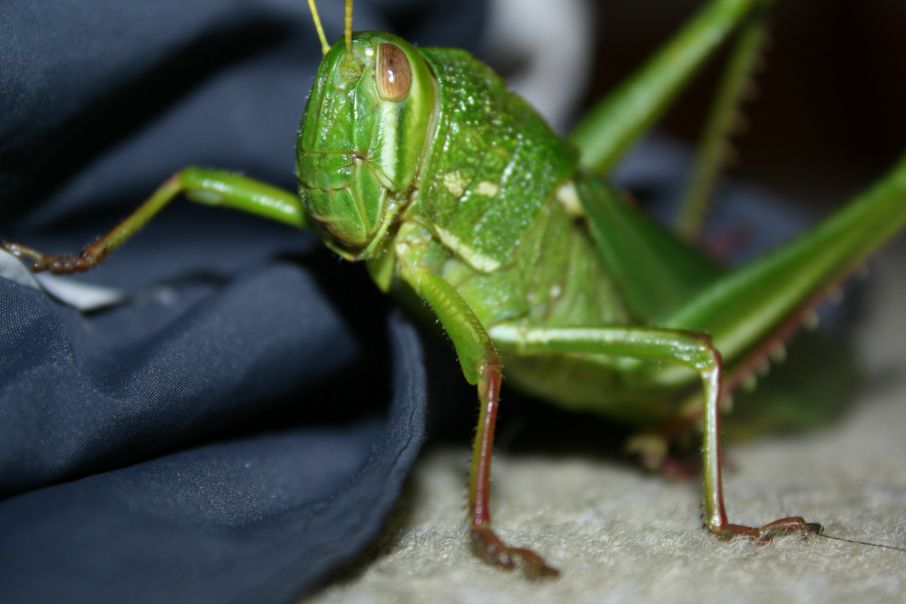 Сергей Микитенко фото №49