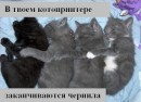 Ярослав Колісніченко фотография #47 (источник - https://vk.com/id62738787)