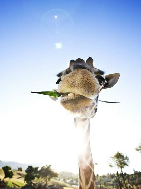 Антон Басов фото №50