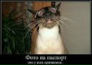 Фотография Шевцова Алексея