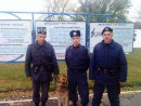 Роман Плоскін фотография #50 (источник - https://vk.com/id58889040)