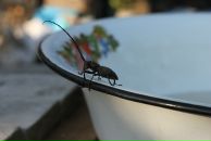 Фотография Шияновой Татьяны