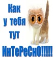 Юлія Ющук фотография #28 (источник - https://vk.com/id54782534)