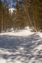 Матвей Федорченко фотография #49 (источник - https://vk.com/id2993101)