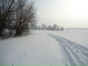 Діана Тукало фотография #29 (источник - https://vk.com/id91621013)