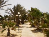 Оксана Балога-Ігнат фотография #23 (источник - https://vk.com/id50776702)