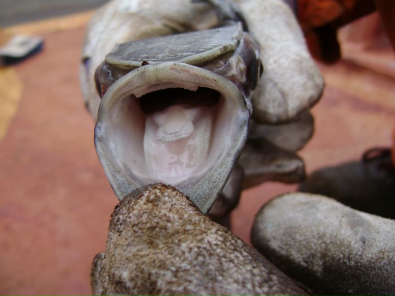 Борис Дымов фото №39