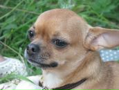 Фотография Гончаров Юрий