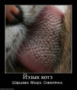 Андрій Піхурко фотография #22 (источник - https://vk.com/id16113506)