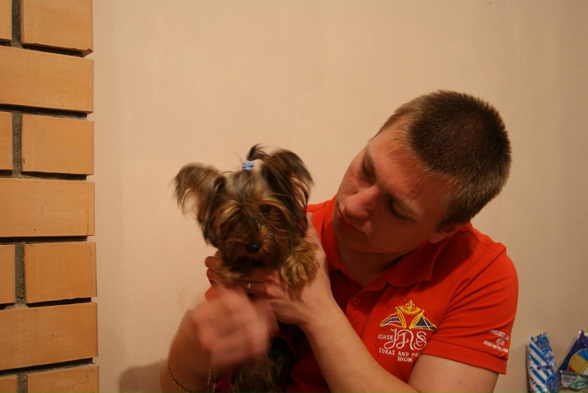 Дмитрий Быков фотография #33