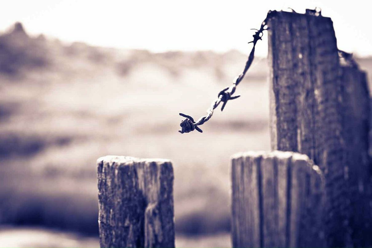 Дмитрий Быков фотография #42