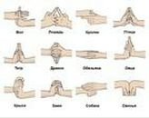 Петя Бабаян фотография #8 (источник - https://vk.com/id68360951)