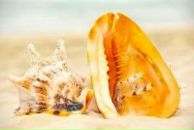 Фотография Сычевой Ольги