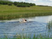 Роман Підкорчевний фотография #7 (источник - https://vk.com/id118863143)