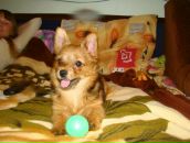 Фотография Фёдоровой Натальи