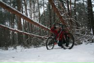 Фотография Вдовенко Андрея