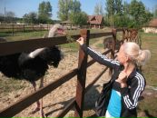 Ірина Солодка фотография #8 (источник - https://vk.com/id61477928)