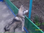 Евгения Дарий фотография #11 (источник - https://vk.com/id2201000)