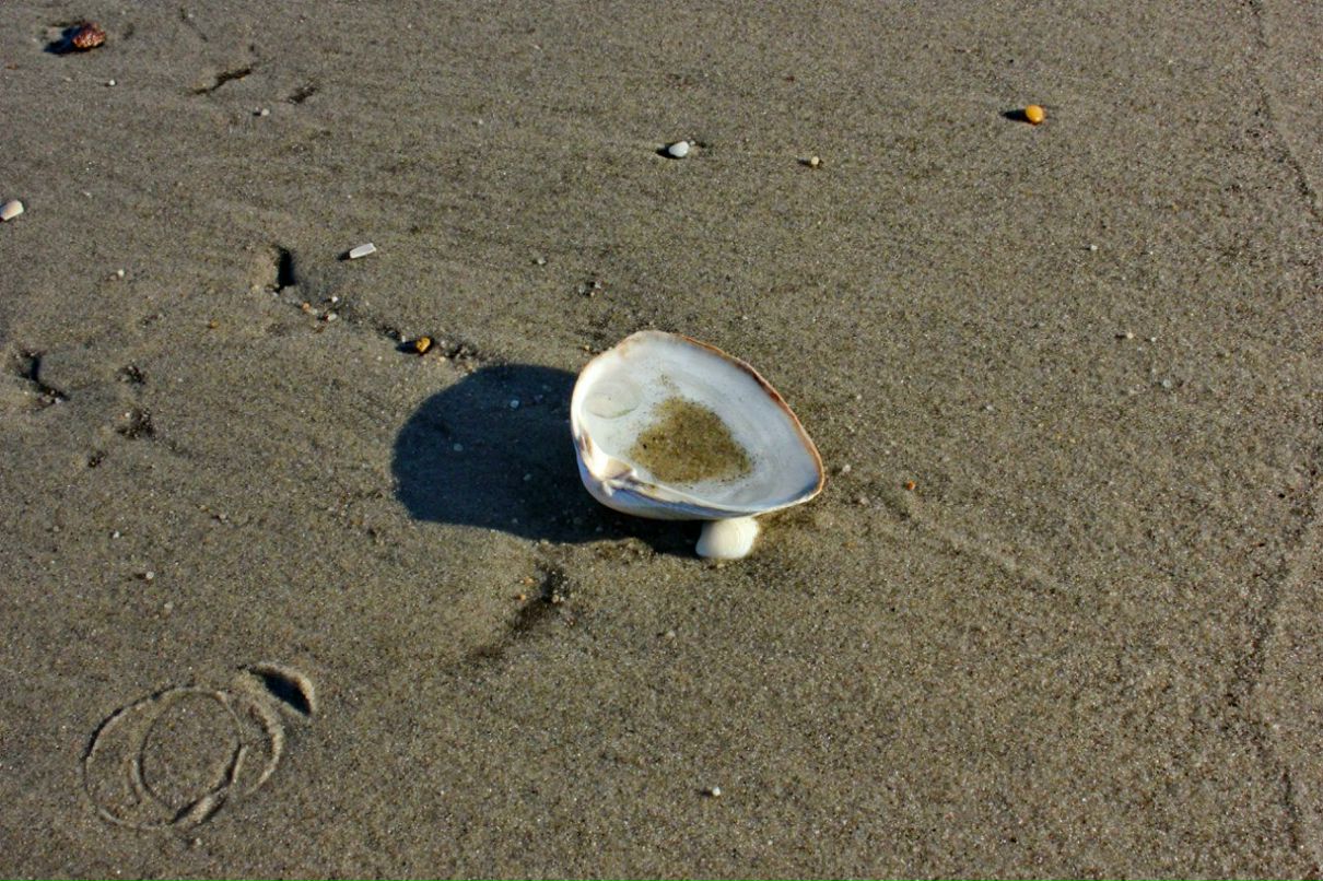 Глеб Петров фотография #38