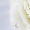 Людмила Ліщук фотография #9 (источник - https://vk.com/id152140225)