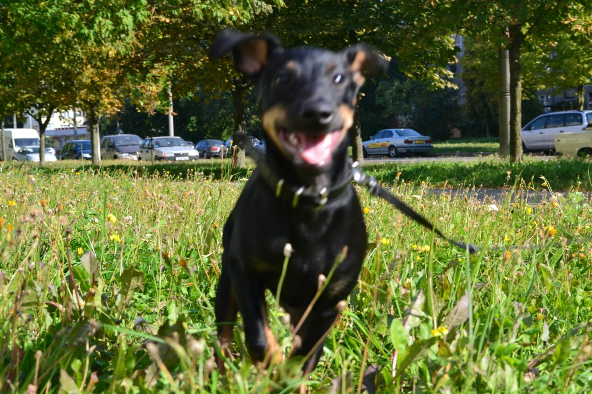 Tris Treymak фотография #17