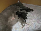 Фотография Матюхиной Анастасии