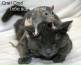 Фотография Скрябиной Натальи