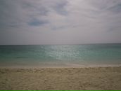 Фотография Ковалевой Яны