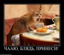 Юрій Дідик фотография #32 (источник - https://vk.com/id22192929)